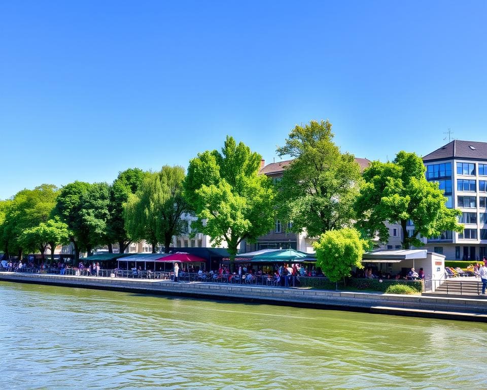 De Rijnpromenade Düsseldorf Duitsland