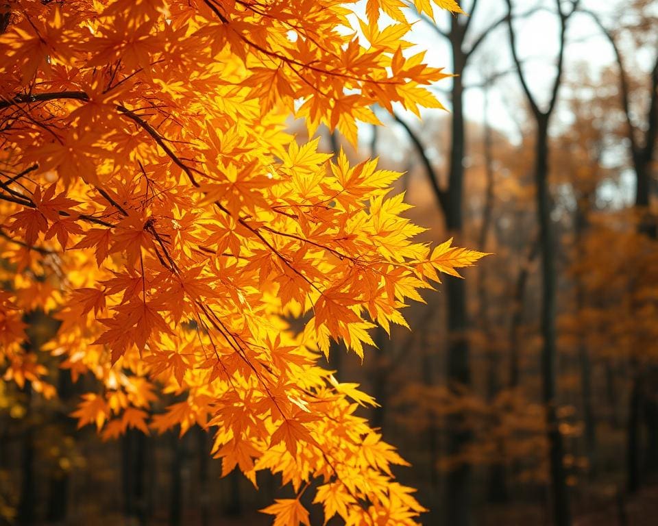 amberboom verkleuring